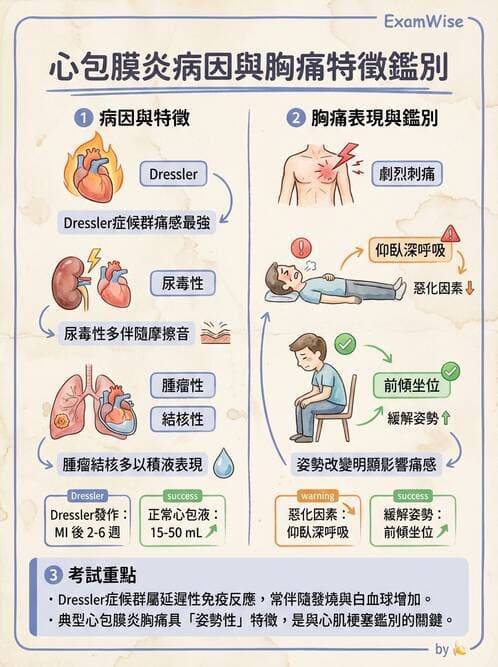 內專 - 心內膜炎與心包膜疾病 - AI 圖文解析預覽