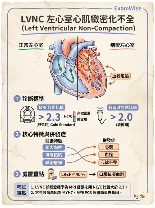 內專 - 心肌病變 - AI 圖文解析預覽