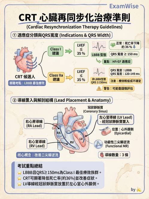 內專 - 心衰竭 - AI 圖文解析預覽