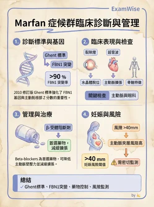 內專 - 主動脈與周邊血管疾病 - AI 圖文解析預覽