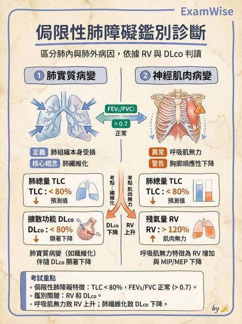 內專 - 肺癌 - AI 圖文解析預覽
