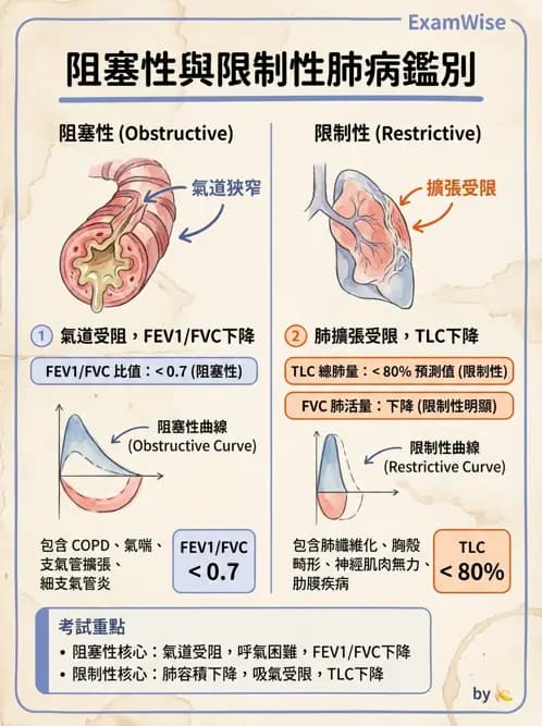 內專 - 肺功能檢查與支氣管擴張 - AI 圖文解析預覽
