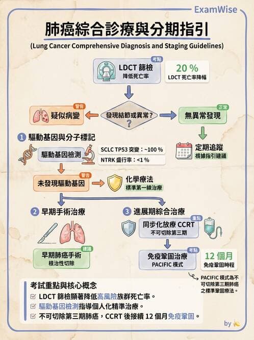 內專 - 肺癌 - AI 圖文解析預覽
