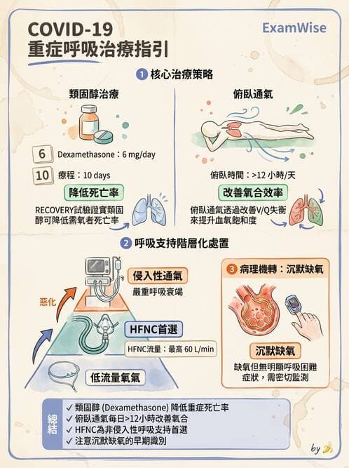 內專 - ARDS 與重症照護 - AI 圖文解析預覽