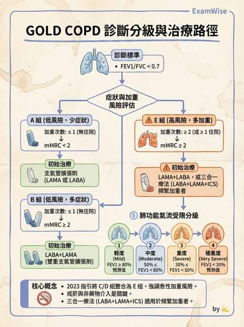 內專 - COPD 穩定期診斷與治療 - AI 圖文解析預覽