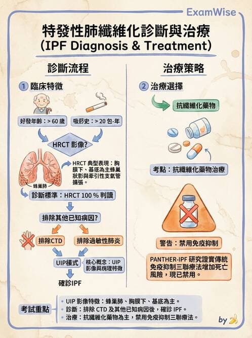 內專 - 間質性肺病與肺纖維化 - AI 圖文解析預覽