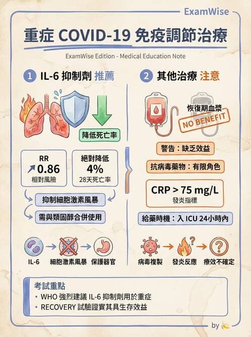 內專 - ARDS 與重症照護 - AI 圖文解析預覽