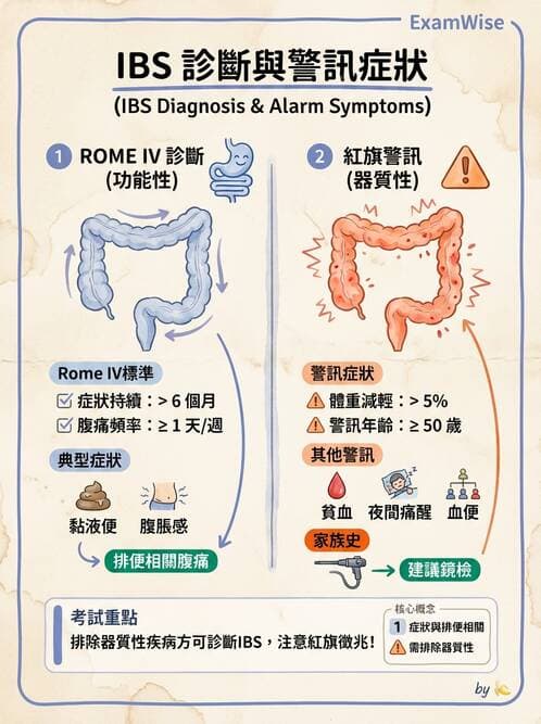 內專 - 憩室病、缺血性腸病與消化道出血 - AI 圖文解析預覽