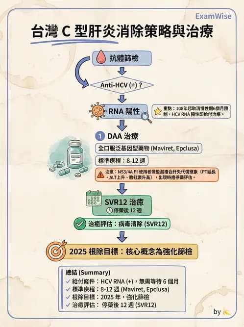 內專 - C型肝炎 - AI 圖文解析預覽