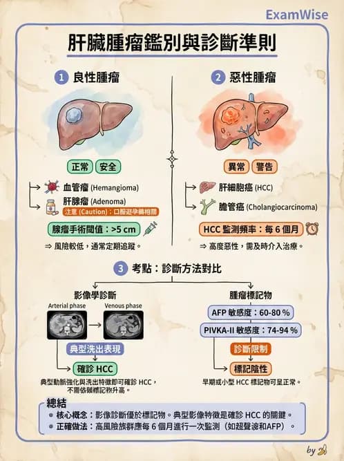 內專 - 肝硬化、肝癌及併發症 - AI 圖文解析預覽