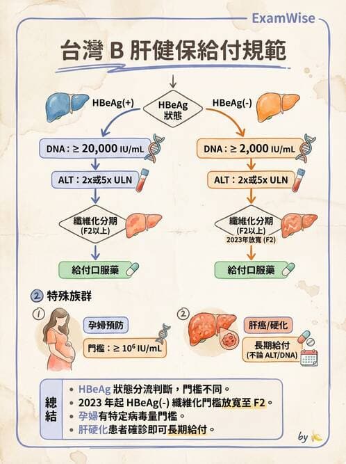 內專 - B型肝炎 - AI 圖文解析預覽