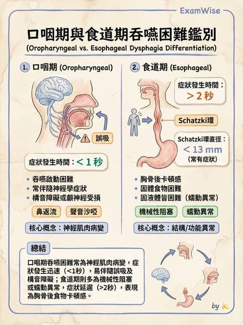 內專 - 食道運動障礙與吞嚥困難 - AI 圖文解析預覽