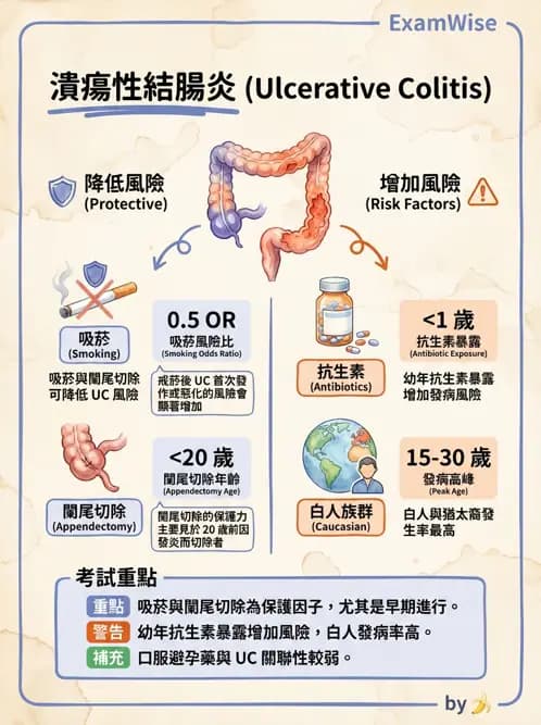 內專 - 發炎性腸道疾病 - AI 圖文解析預覽