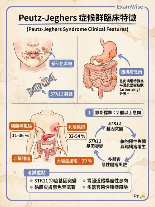 內專 - 大腸直腸癌與息肉 - AI 圖文解析預覽