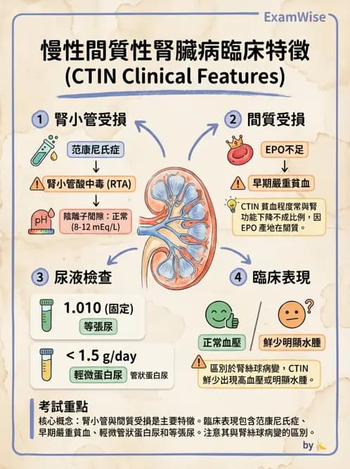 內專 - 腎間質疾病與其他 - AI 圖文解析預覽