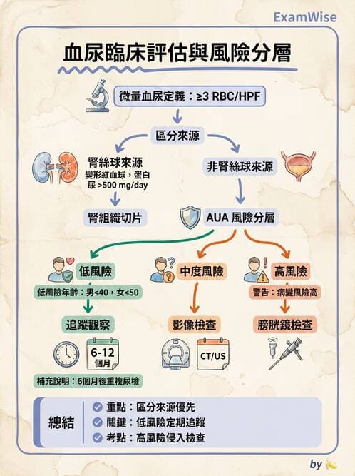 內專 - 原發性腎絲球腎炎 - AI 圖文解析預覽