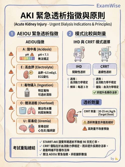 內專 - 急性腎損傷 - AI 圖文解析預覽