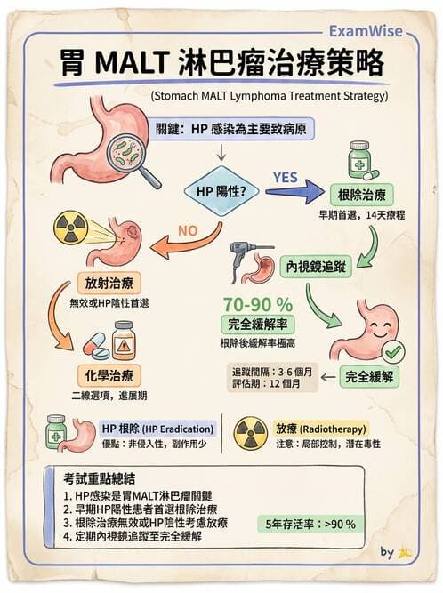 內專 - 胃癌與消化道腫瘤 - AI 圖文解析預覽