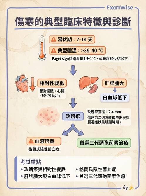 內專 - 特殊病原體、黴菌與人畜共通感染 - AI 圖文解析預覽