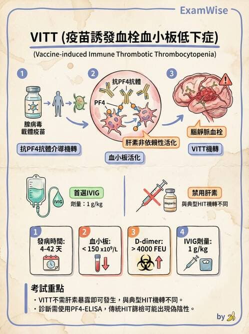 內專 - 病毒感染:COVID-19、流感與新興傳染病 - AI 圖文解析預覽