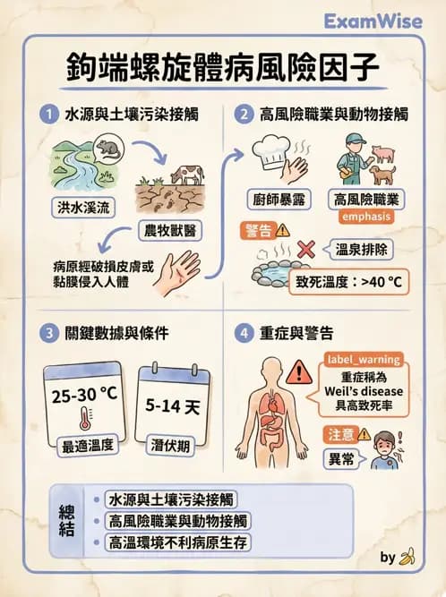 內專 - 特殊病原體、黴菌與人畜共通感染 - AI 圖文解析預覽