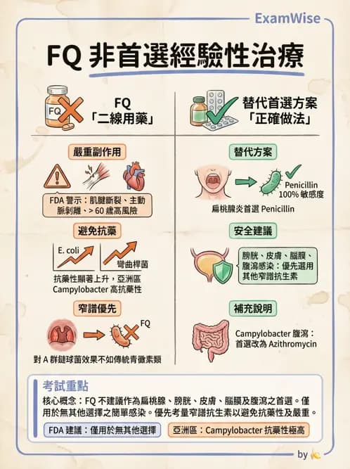 內專 - 抗生素機轉與藥理 - AI 圖文解析預覽