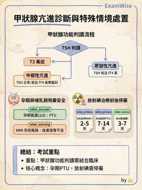 內專 - 甲狀腺疾病 - AI 圖文解析預覽