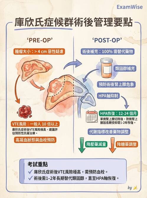 內專 - 腎上腺皮質疾病 - AI 圖文解析預覽