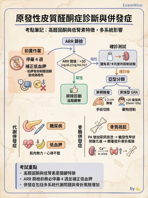 內專 - 腎上腺皮質疾病 - AI 圖文解析預覽