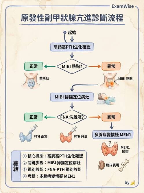 內專 - 副甲狀腺與鈣代謝異常 - AI 圖文解析預覽