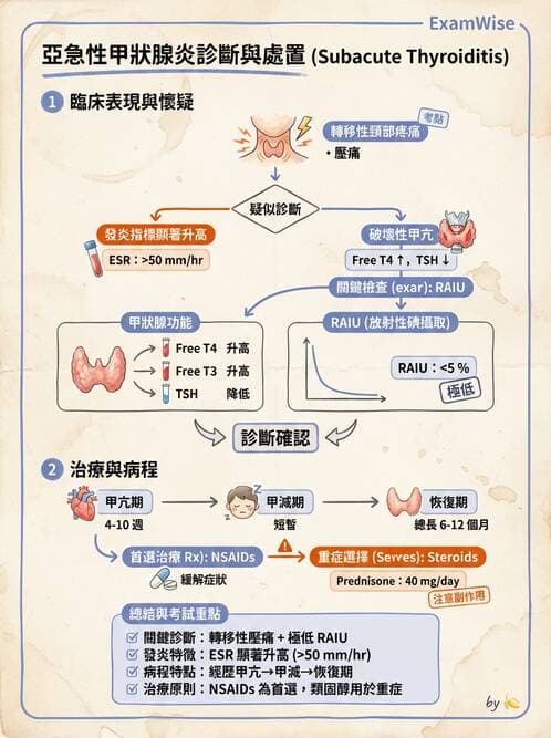 內專 - 甲狀腺疾病 - AI 圖文解析預覽