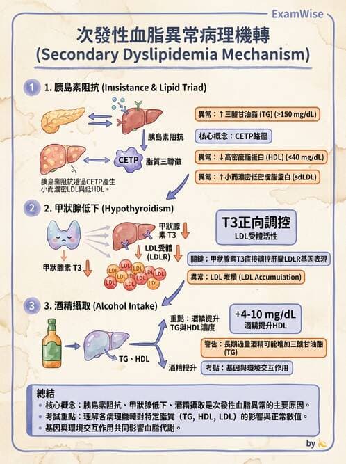 內專 - 糖尿病心血管保護與血脂異常 - AI 圖文解析預覽