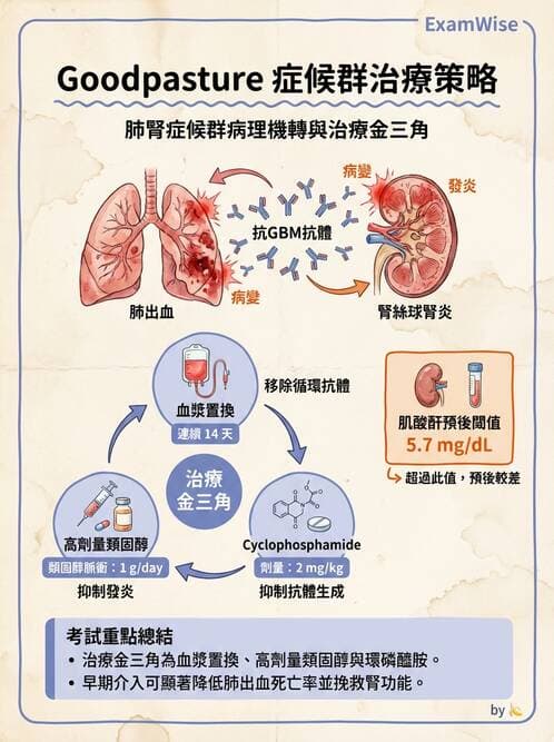 內專 - 血管炎 - AI 圖文解析預覽