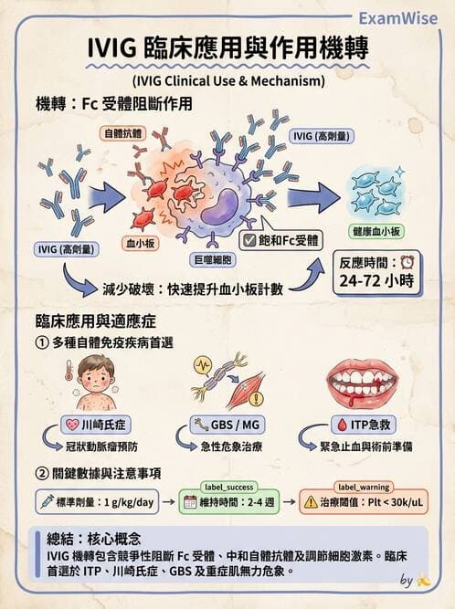 內專 - 過敏性疾病與臨床免疫治療 - AI 圖文解析預覽