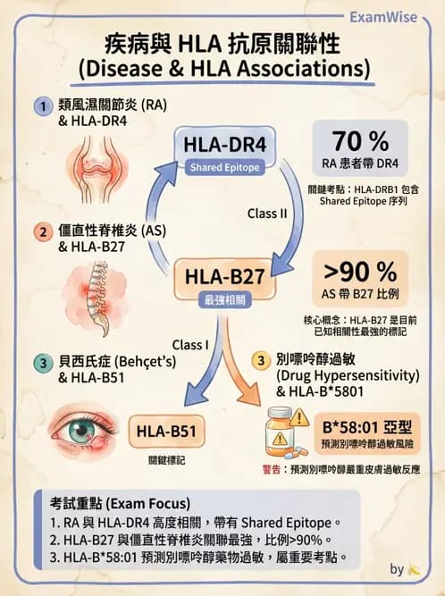 RA - 類風濕性關節炎 - AI 圖文解析預覽