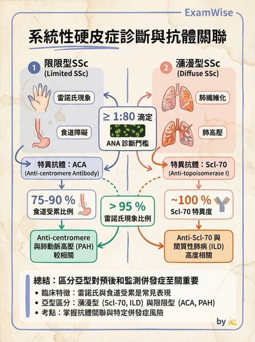 內專 - 系統性硬化症 - AI 圖文解析預覽