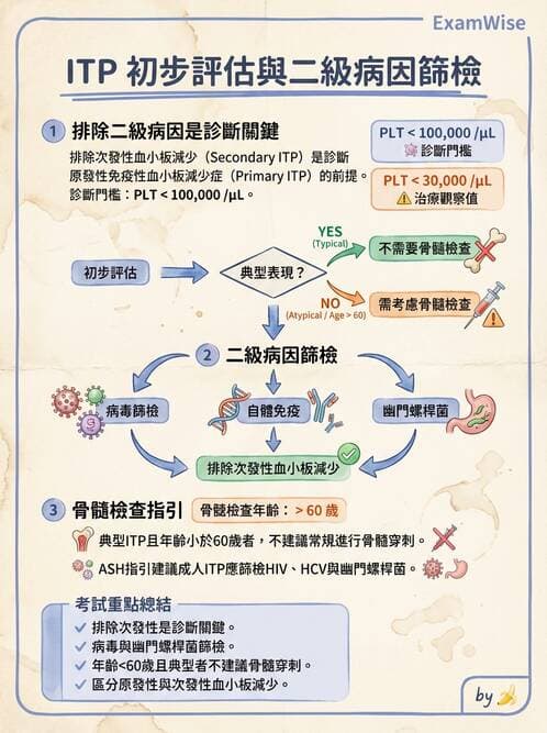 內專 - 凝血與輸血 - AI 圖文解析預覽