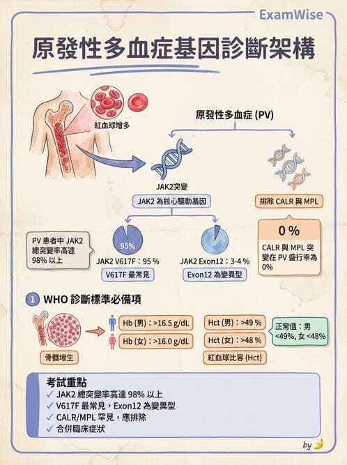 內專 - 紅血球增生症與PNH - AI 圖文解析預覽