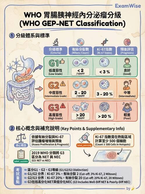 內專 - 消化系統腫瘤 - AI 圖文解析預覽