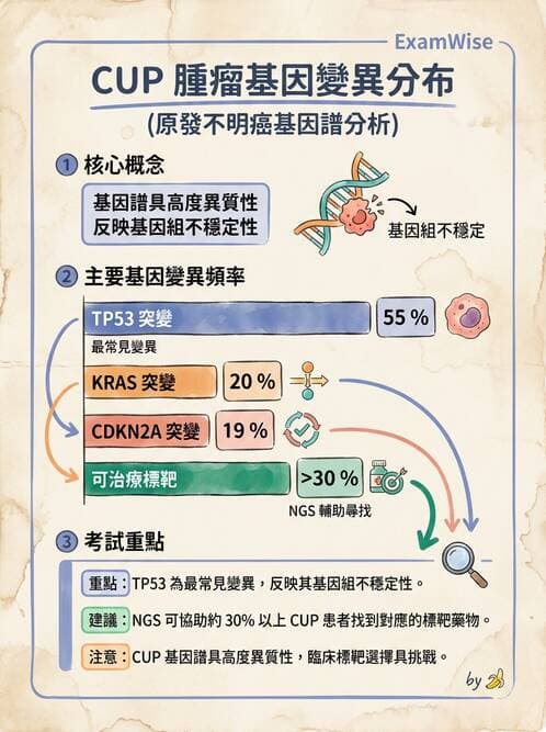 內專 - 腫瘤總論與篩檢 - AI 圖文解析預覽