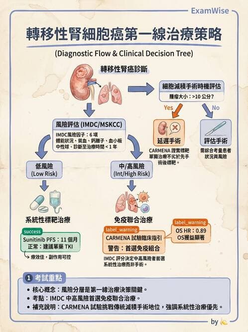 內專 - 非消化系統腫瘤 - AI 圖文解析預覽