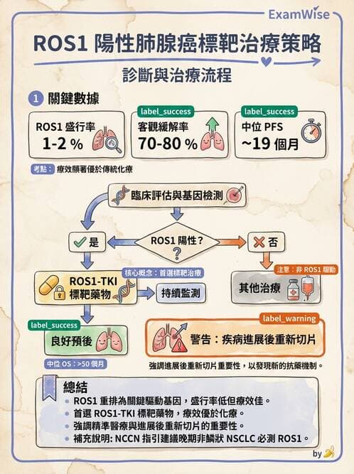 內專 - 免疫與標靶治療 - AI 圖文解析預覽
