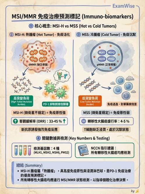 內專 - 免疫與標靶治療 - AI 圖文解析預覽