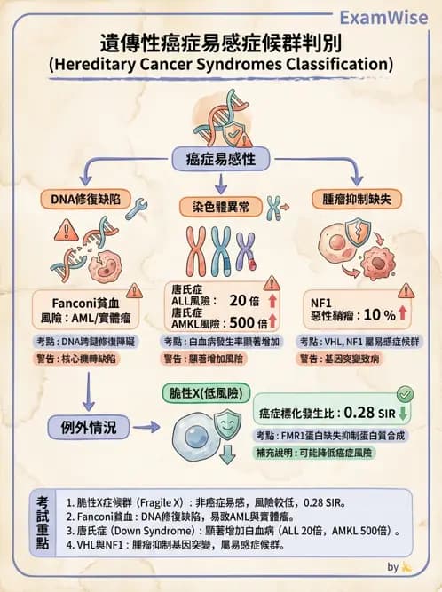 內專 - 腫瘤總論與篩檢 - AI 圖文解析預覽