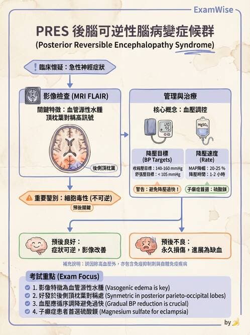 內專 - 腦血管疾病 - AI 圖文解析預覽
