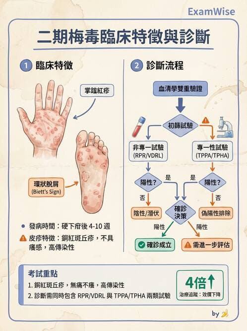 內專 - 皮膚感染症 - AI 圖文解析預覽