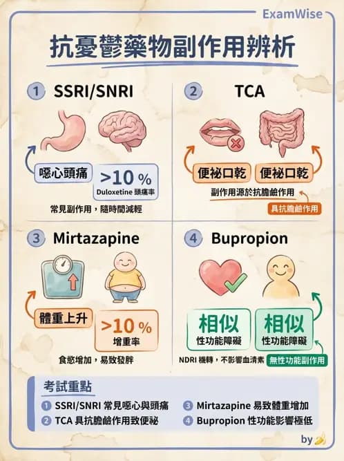內專 - 精神藥物與成癮 - AI 圖文解析預覽