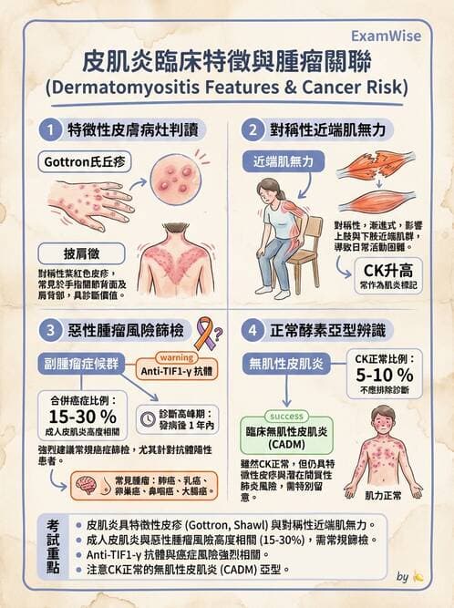 內專 - 免疫皮膚病與藥物反應 - AI 圖文解析預覽