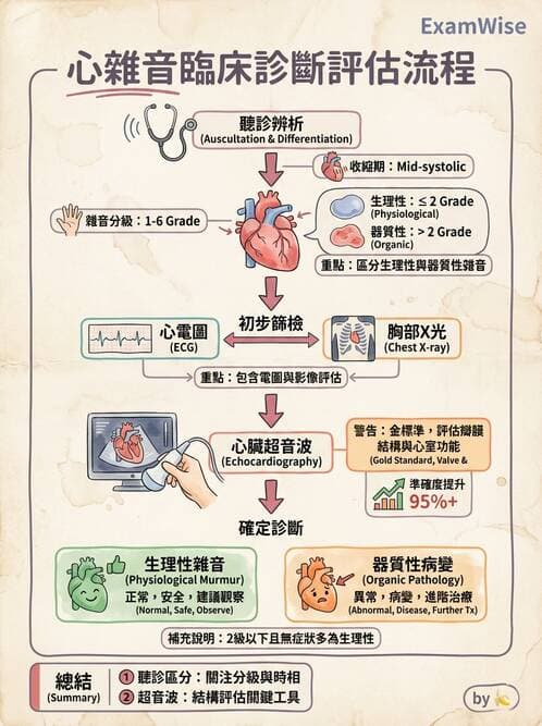 內專 - 瓣膜性心臟病 - AI 圖文解析預覽