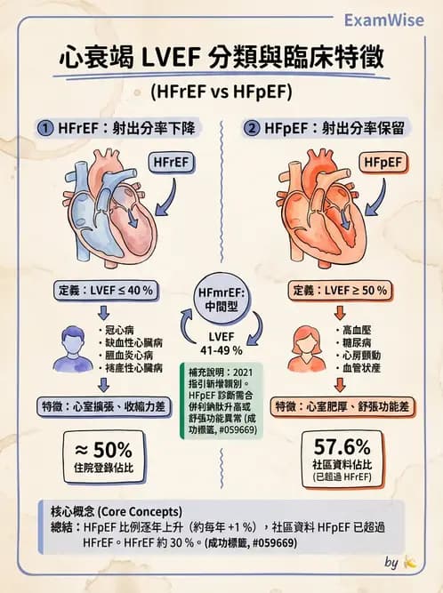 內專 - 心衰竭 - AI 圖文解析預覽